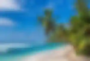 Traumhafter Strand mit Palmen und türkisfarbenem Wasser Tropischer Sandstrand mit türkisblauem Meer und Palmen unter klarem, blauem Himmel