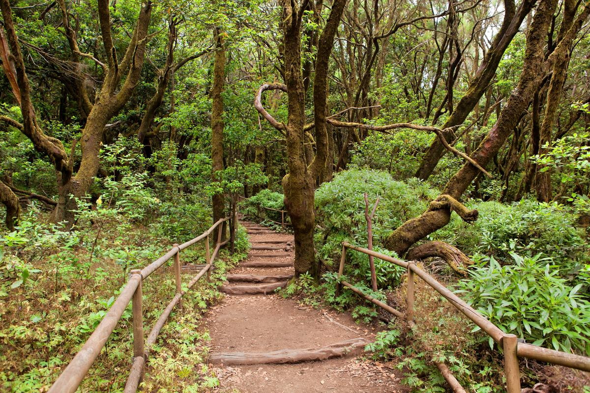 La Gomera