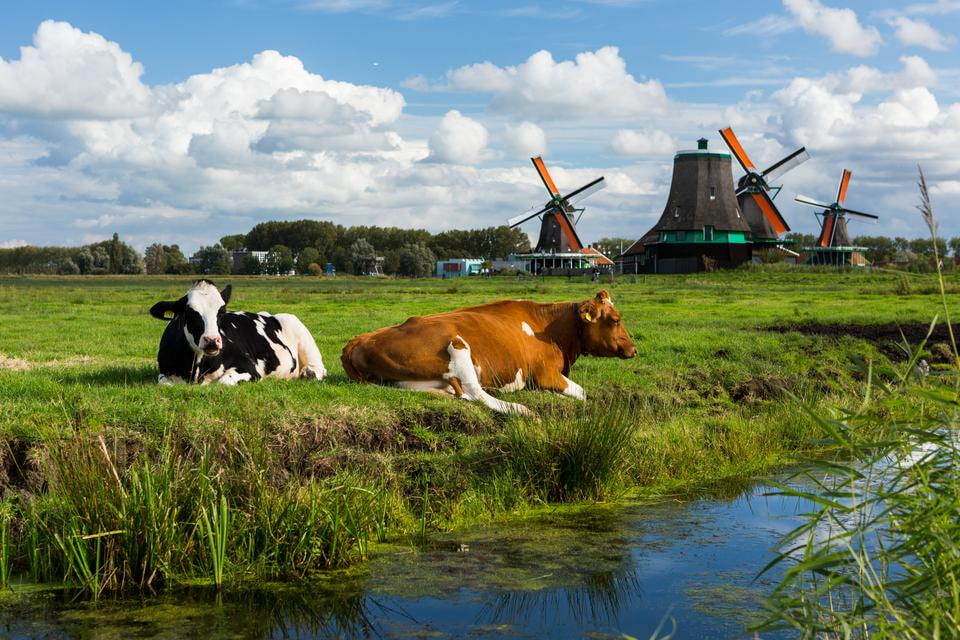 NÖs Senioren Landesreise - Flusskreuzfahrt Holland 2025